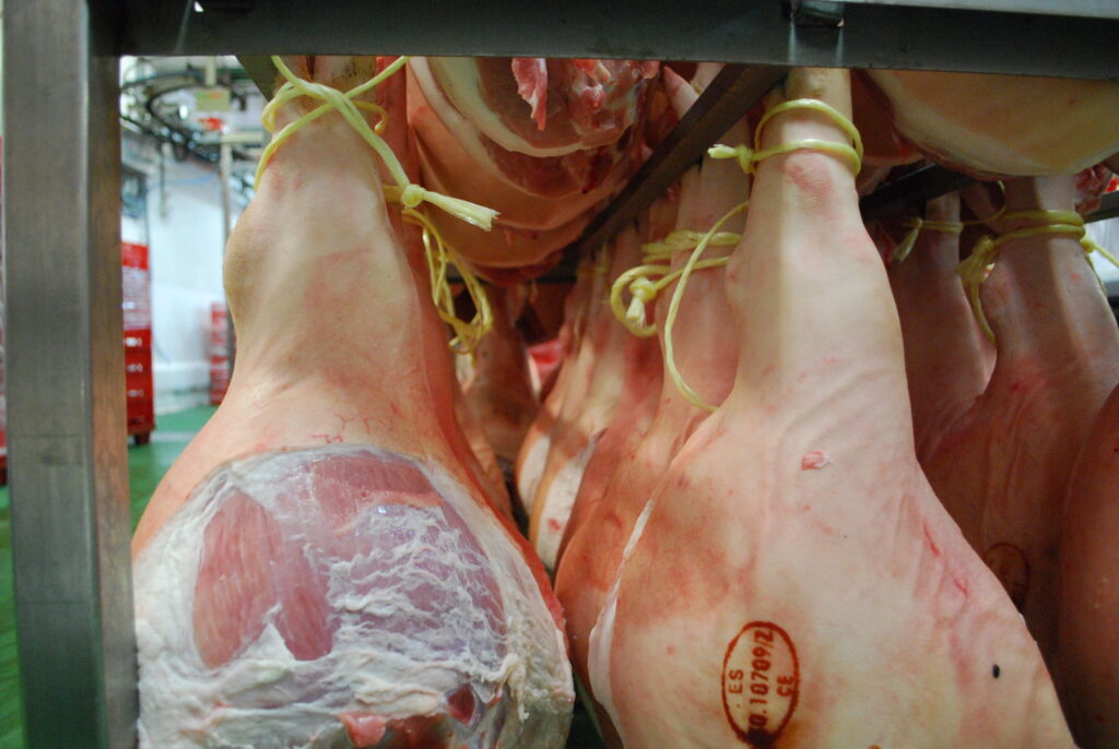 Frigolouro: centro de procesado porcino - Coren