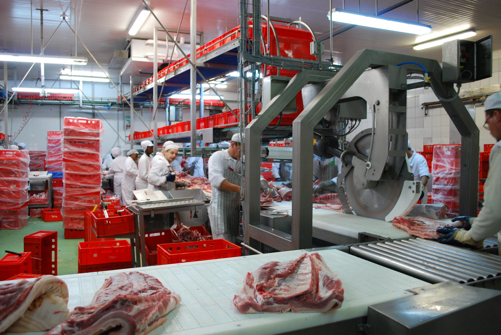 Frigolouro: centro de procesado porcino - Coren