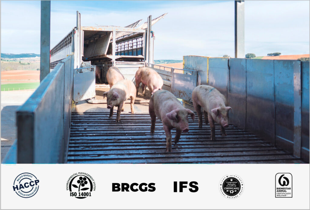 Coren Iberico Pork Luncheon Meat