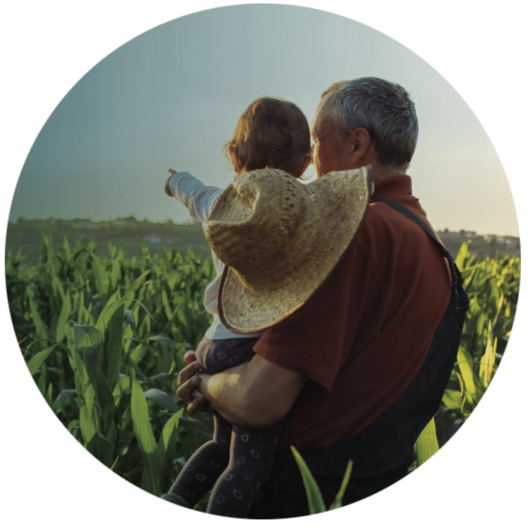 industrias frigoríficas del louro, sa frigolouro grupo coren