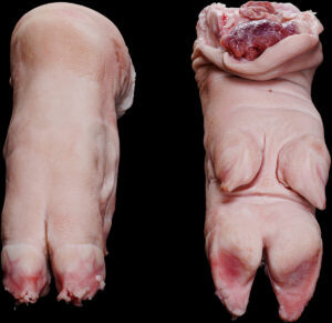 INDUSTRIAS FRIGORIFICAS DEL LOURO, S.A. (FRIGOLOURO)